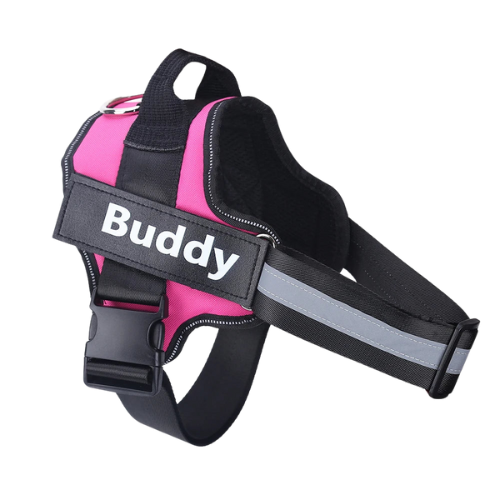 Pawfect Fit Personalized No-Pull Dog Harness